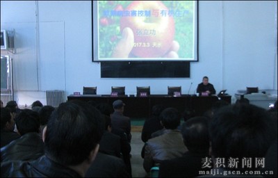 麦积区举办花牛苹果标准化生产新技术培训会(图)--天水在线